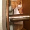 Moteur électrique A.O. Smith 20HP, 400V, 380V, 460V, 3 phase NEUF – Image 2